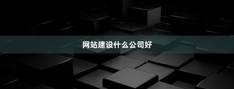 網(wǎng)站建設(shè)什么公司好