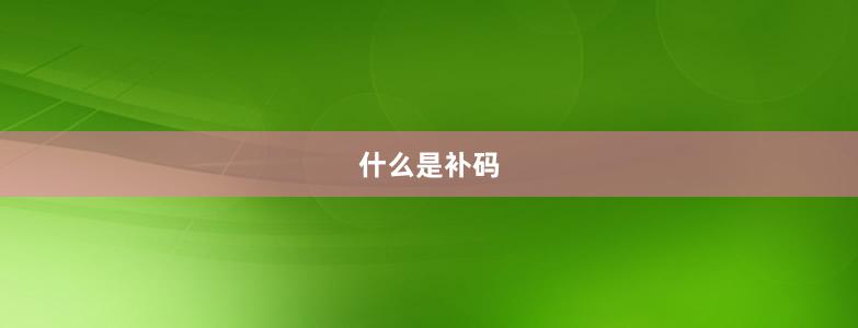 什么是補(bǔ)碼